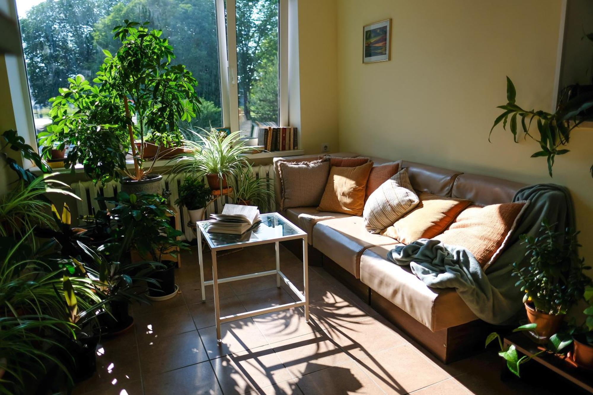 Hostel Nele Johvi Bagian luar foto